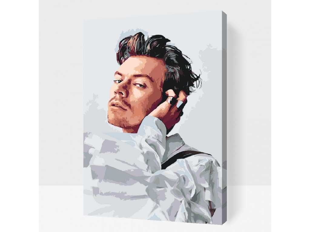 Harry Styles  DEPECHE MODE  Michael Jackson  obraz na płótnie