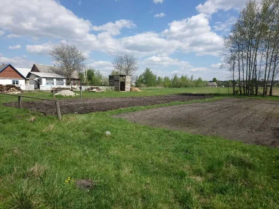 Продається ділянка в с.Садки площею 20 соток