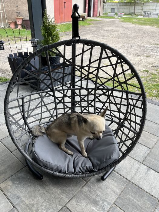 Legowisko Huśtawka Kosz Kokon dla psa