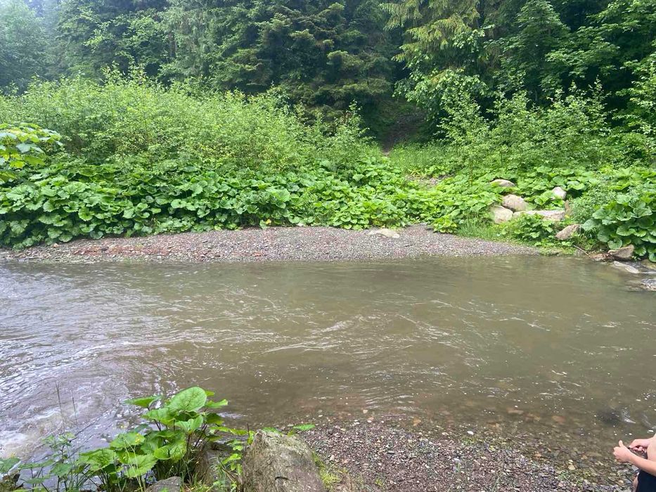 Здається в оренду будинок у Карпатах біля водоспаду в с. Татарів