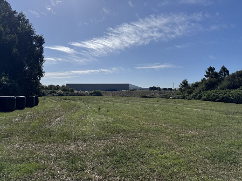 Alugo Terreno 8000m² em Lavra (Matosinhos) – Agricultura ou Animais