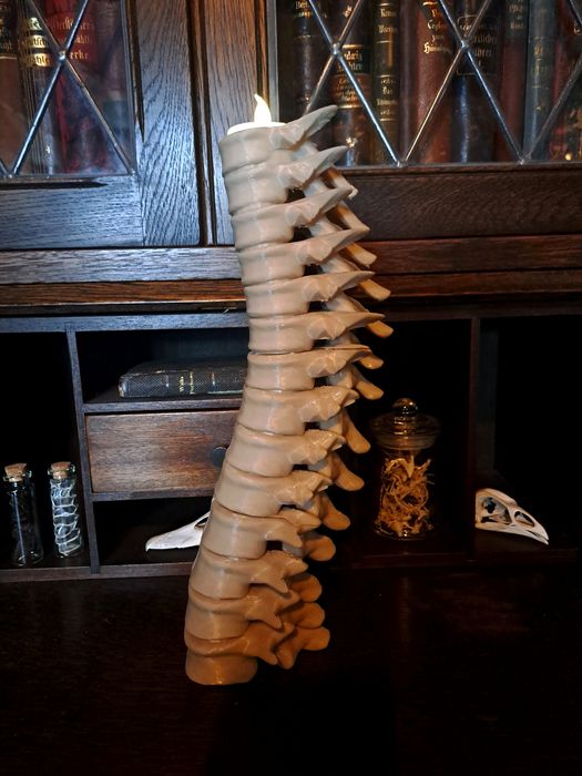 Świecznik kręgosłup Lupin Harry Potter Hogwart