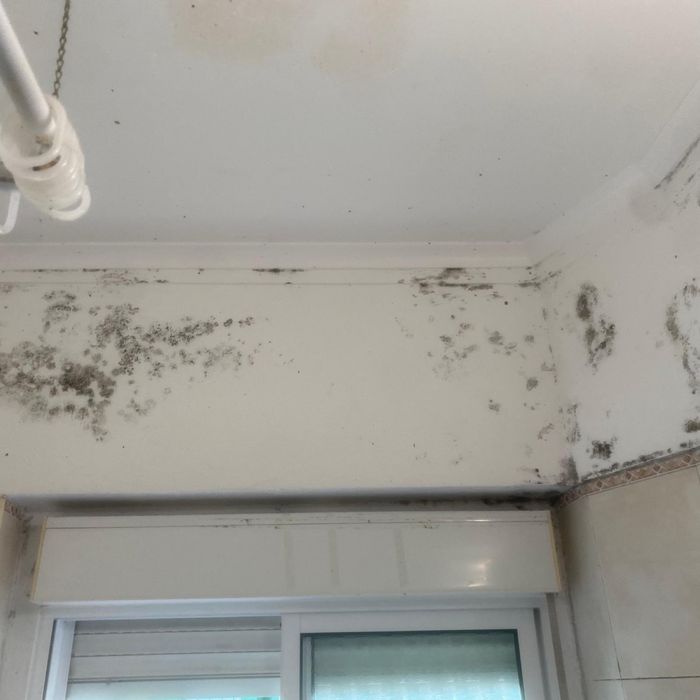 Promocao de limpeza, com direito a uso de maquina de limpeza de vidros