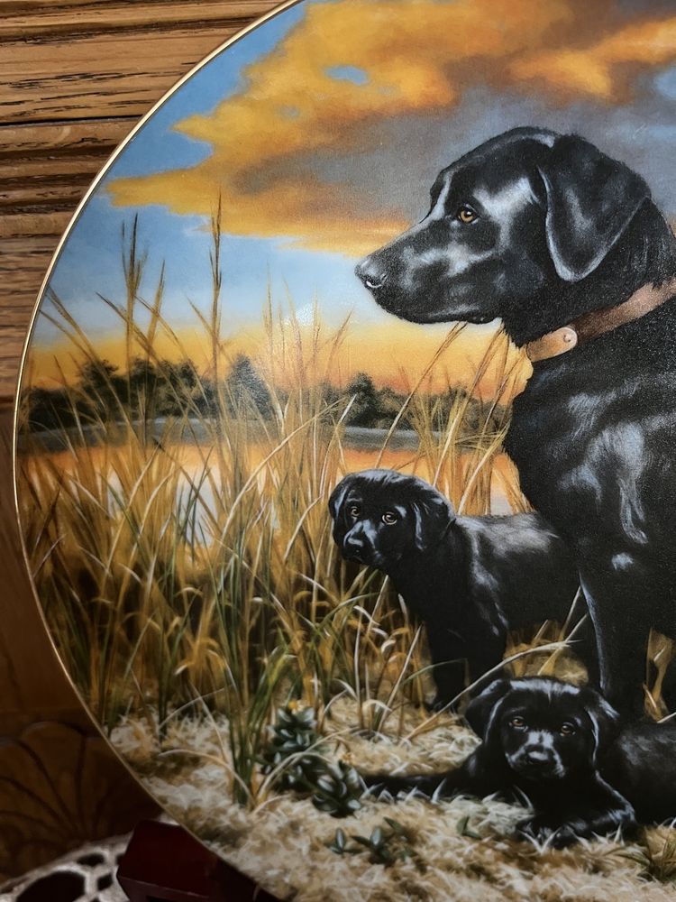 Hamilton Cudne Psy Labrador Dekoracyjny Talerz Porcelanowy Pies obraz