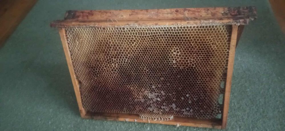 Sprzedam ramka wielkopolskie  z plastrami