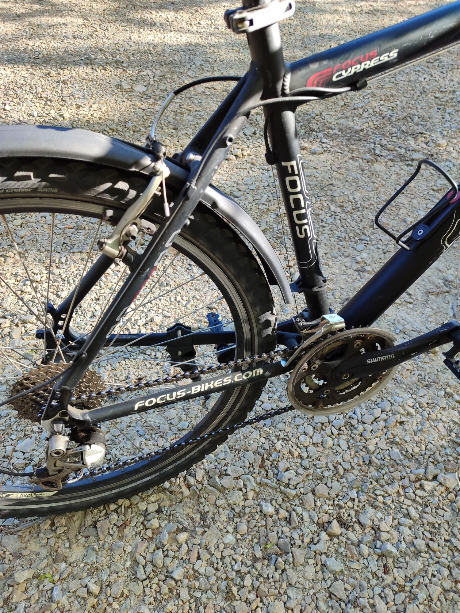 Rower Focus Cypress 26