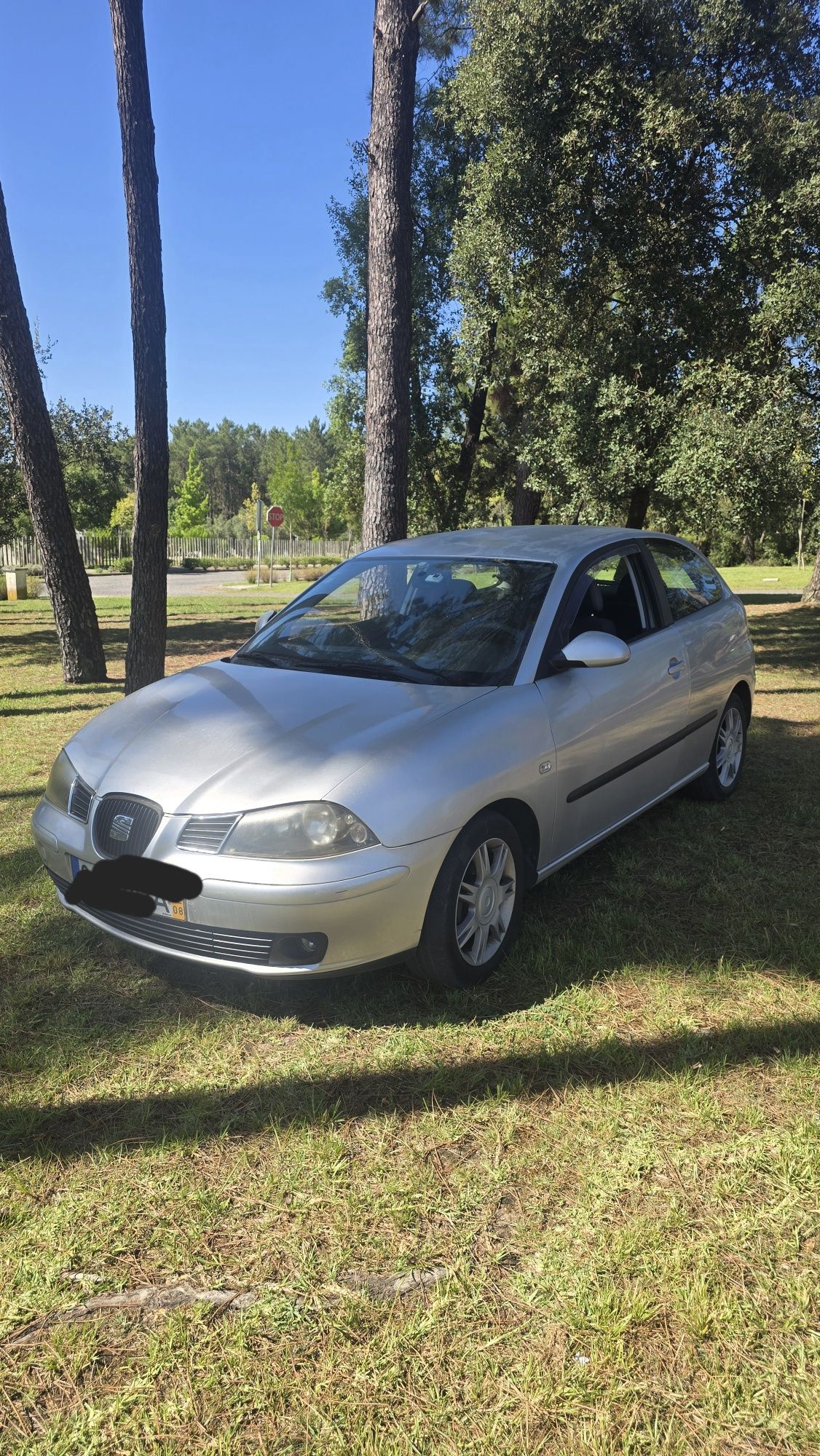 Seat Ibiza económico