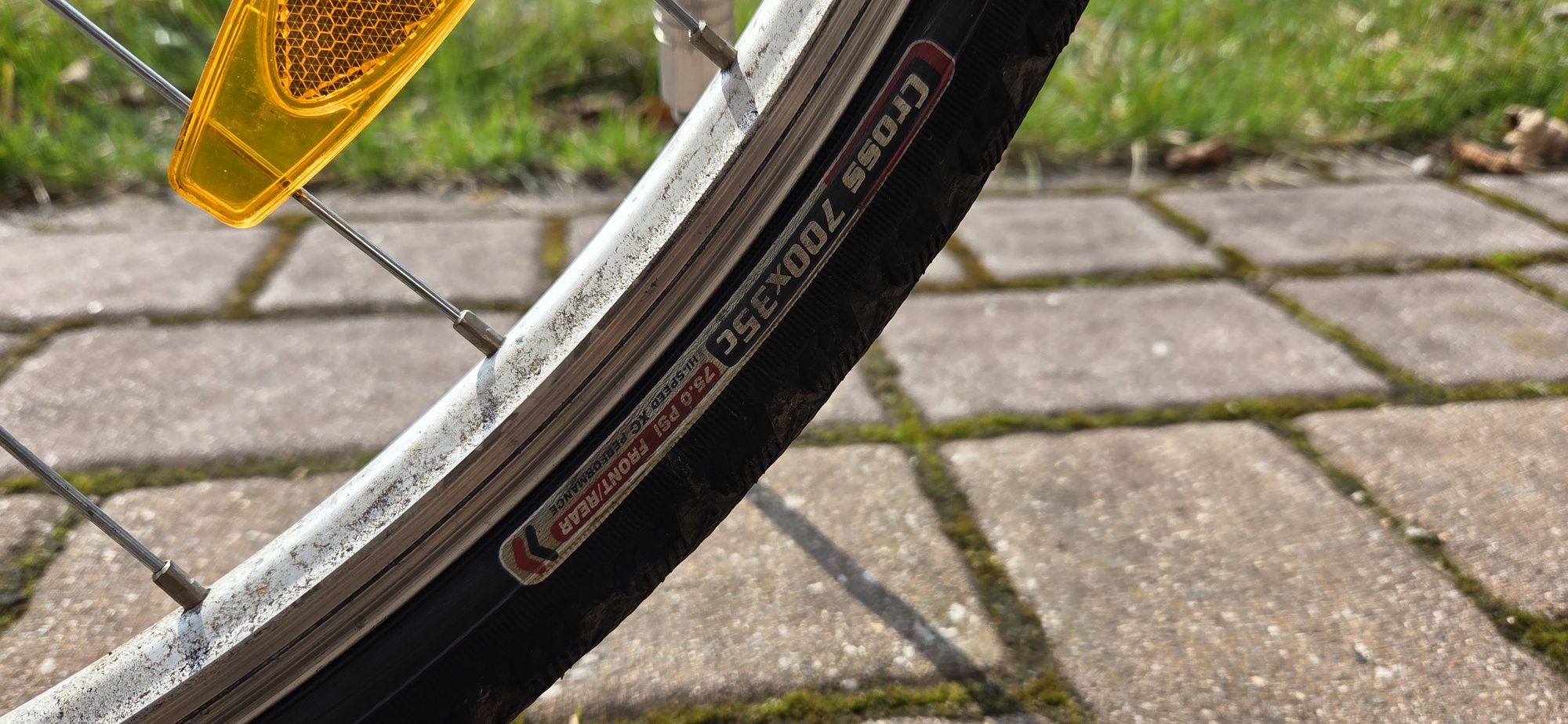 Rower auhtor classic 20