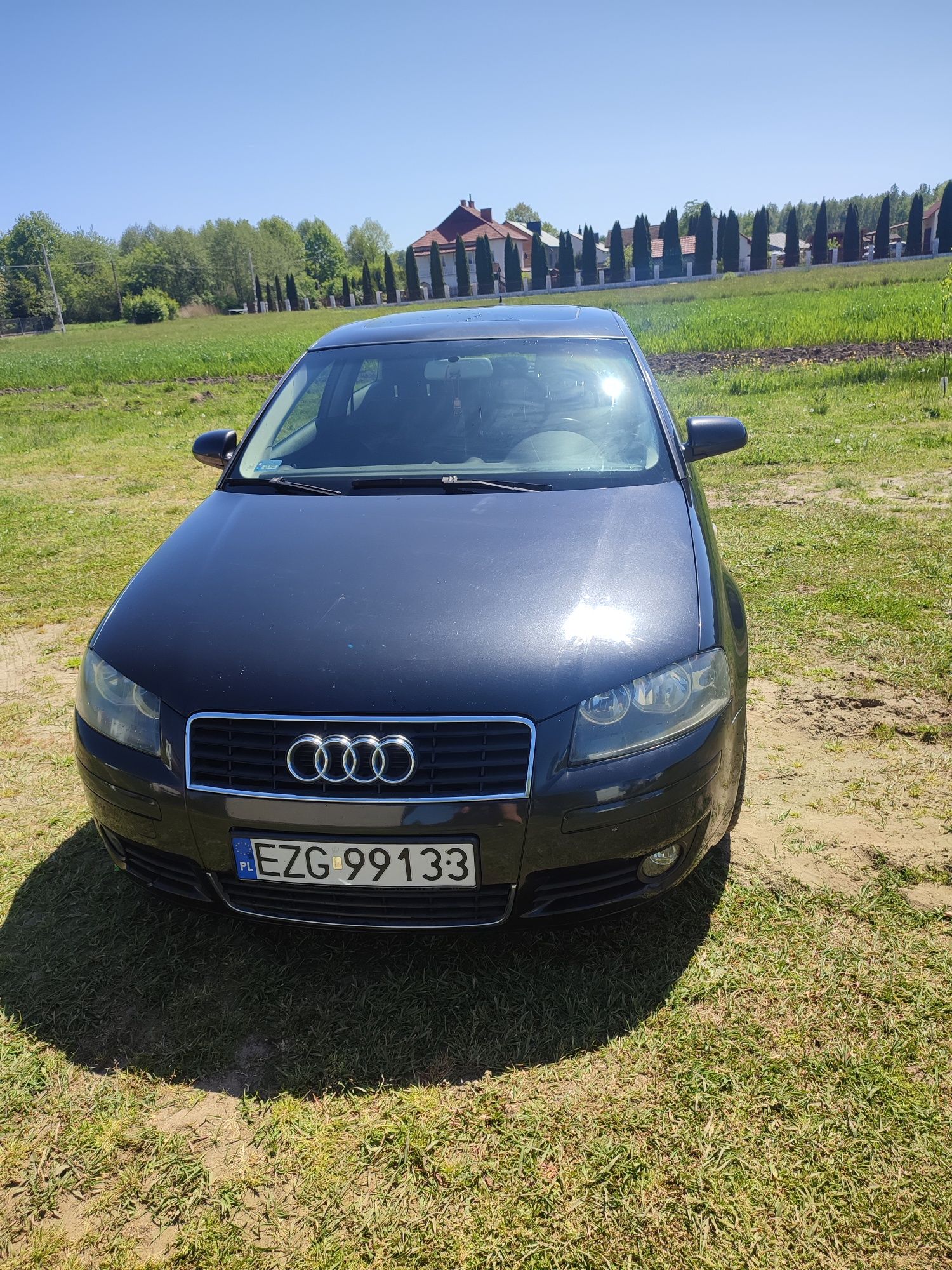 Audi A3 8P 2003 1.6 benzyna + LPG