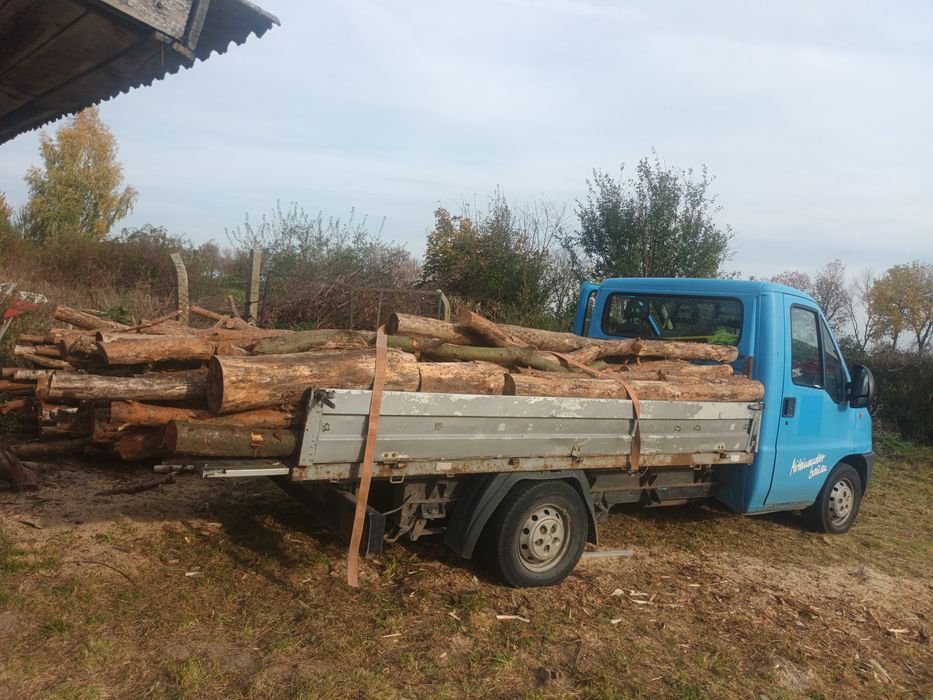 Sprzedam drzewo : wałki , pocięte lub połupane  6 6 7  O O 7 2 1 4