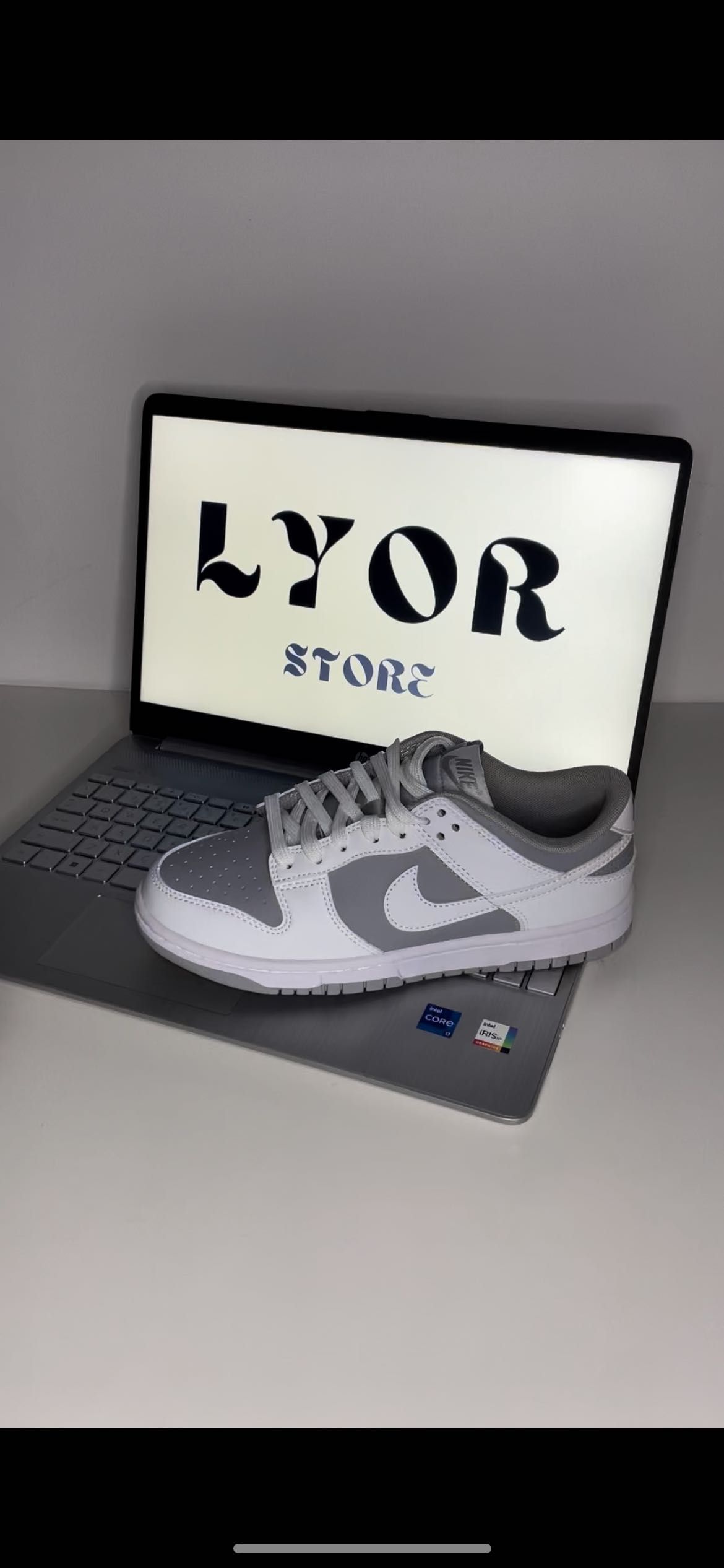 Nike Dunk Low Retro N.39