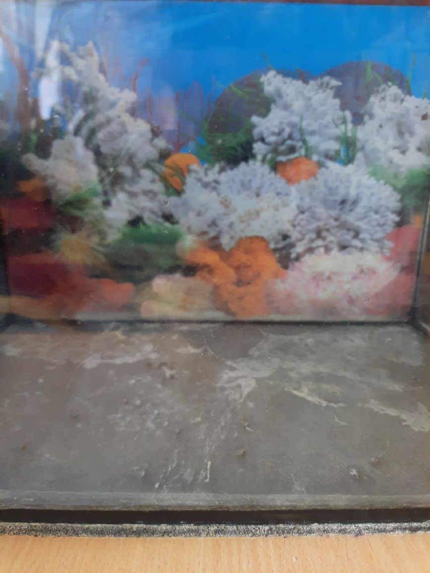 Akwarium proste 30l.