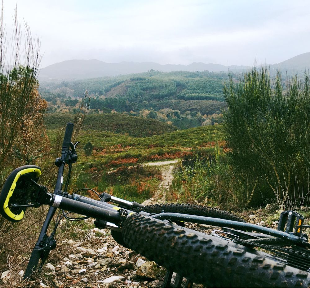 Scott aspect 930
