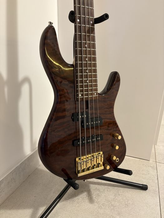 Gitara basowa Fodera NYC 5 deluxe