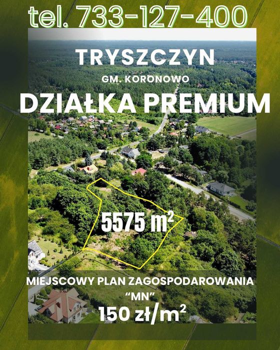 Duża, widokowa działka z miejscowym planem - Tryszczyn