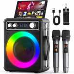 Ankuka – Przenośne Karaoke Bluetooth 15W z 2 mikrofonami, efektami A-