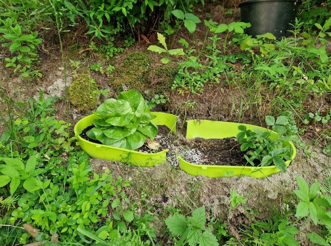 Półotwarty pojemnik jako donica do ogrodu izolacja od chwastów