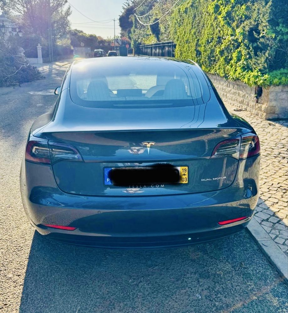 Tesla Model 3  Dual motor