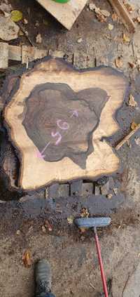 Orzech drewno plastry korzeń foszty deski tarcica