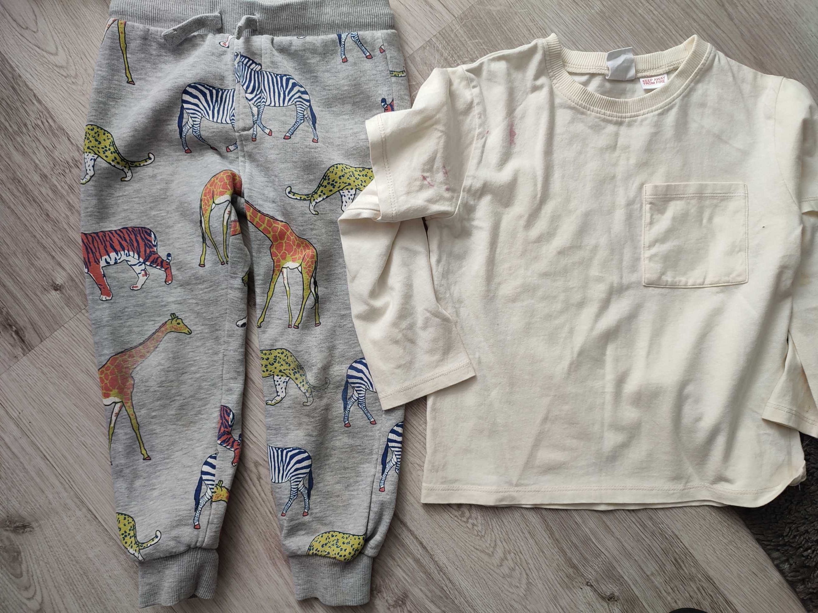 Bluza ala dinozaur, roz. 104, next