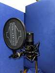 Mikrofon studyjny Sontronics STC 2