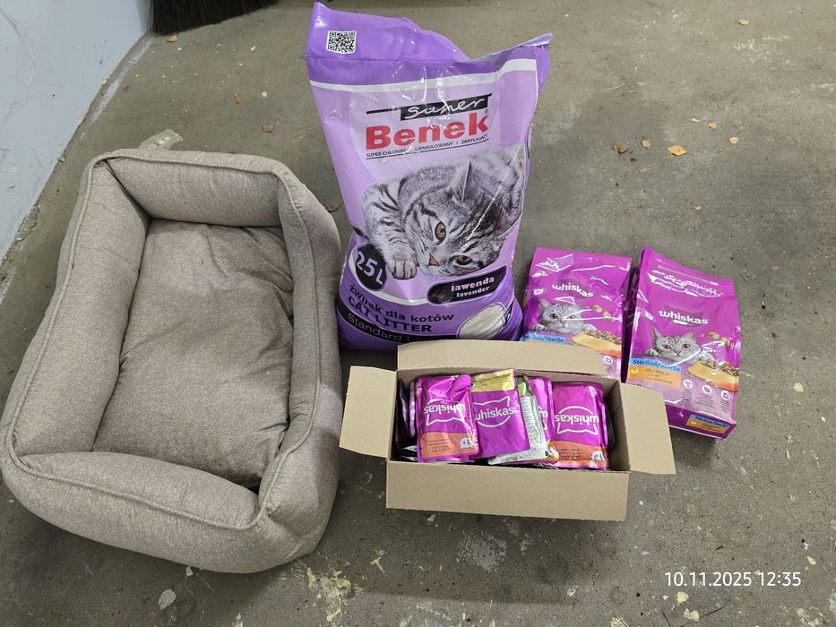 Kocie akcesoria i jedzenie