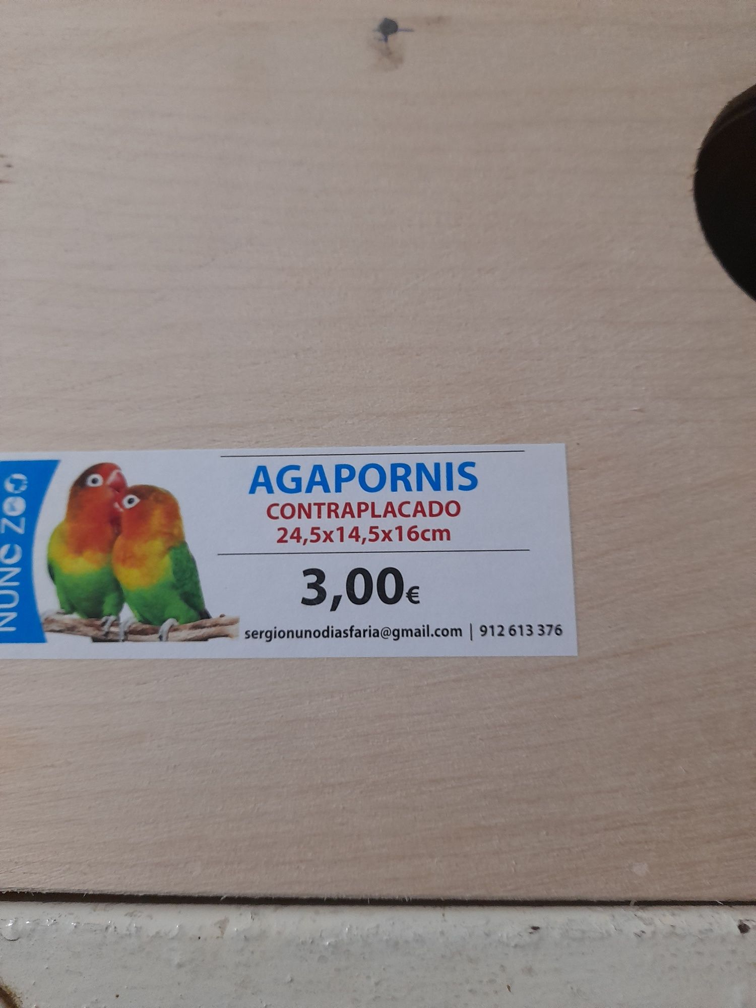 Ninhos agapornis 3 euros cada