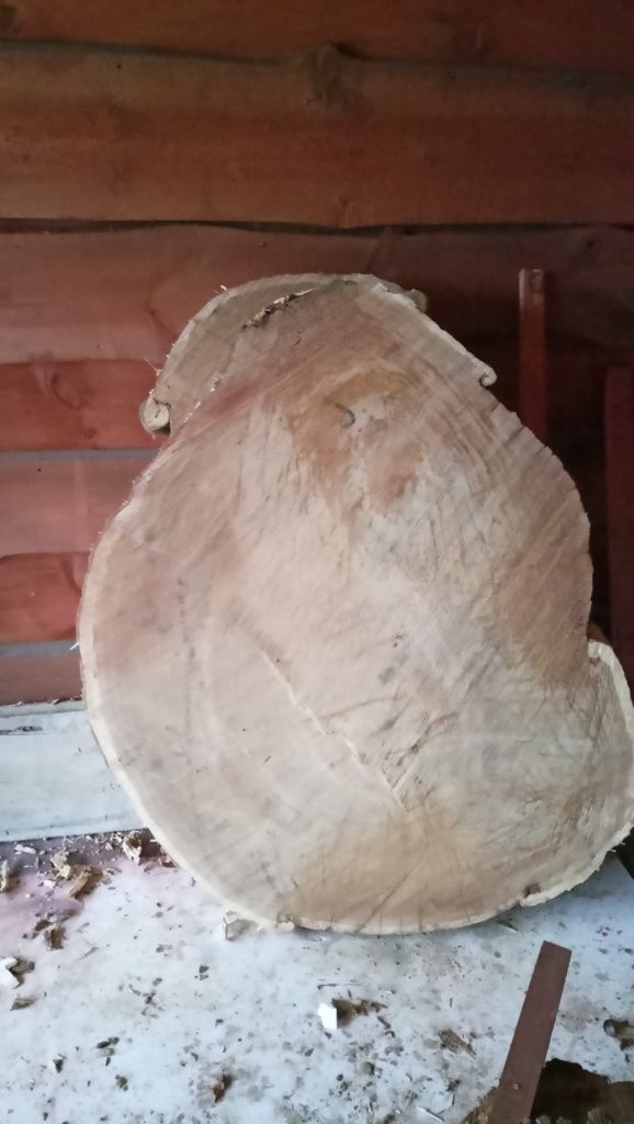 Plaster Dębowy okazja