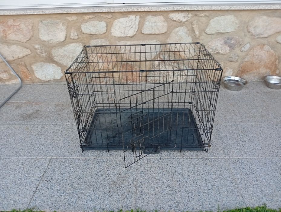 Transportadora para caes
