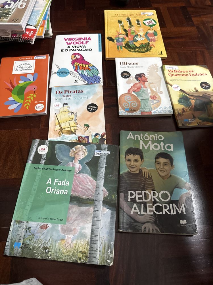 Manuais e livros de leitura do 6 ano
