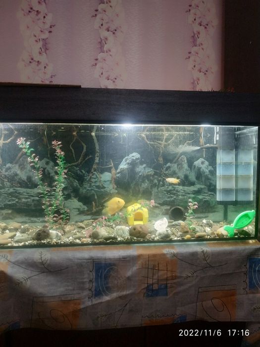 Продам авкааріум