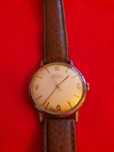 Doxa Antimagnetic