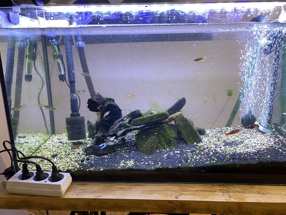 Akwarium 126l bez ryb