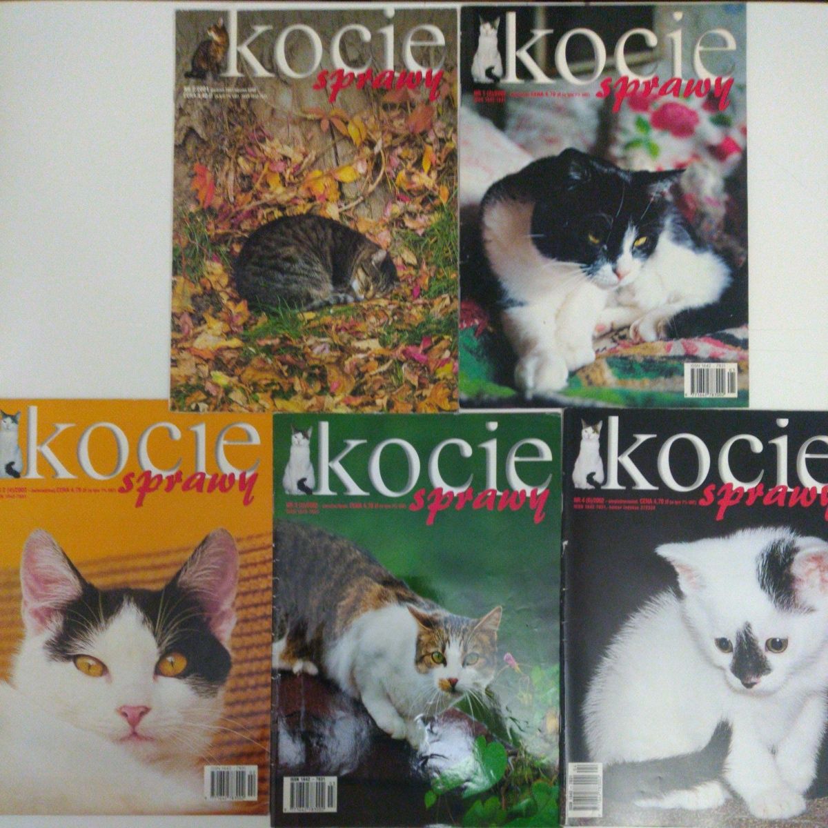 Magazyn Kocie Sprawy 35 numerów