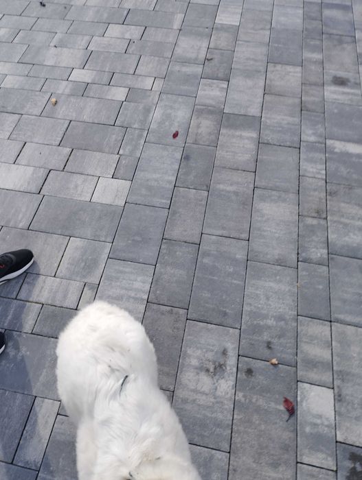 Spych pług śnieżny uniwersalny do quada szybki montaż na CLIK