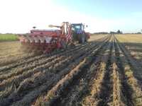 Siew buraków kukurydzy Strip Till uprawa pasowa Kverneland Optima GPS