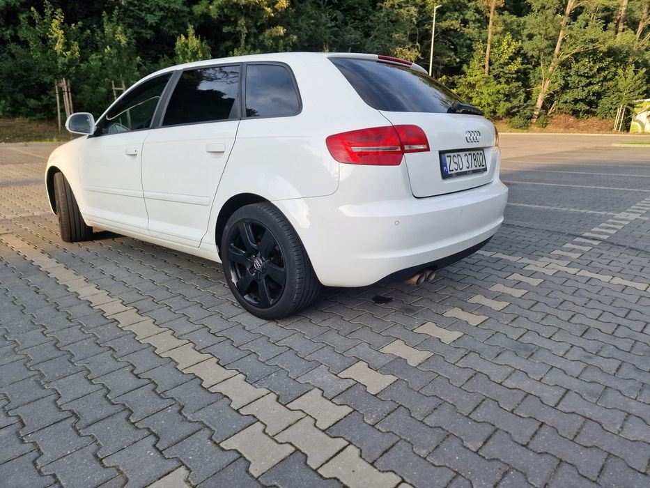AUDI A3 8P 1.9 TDI 2009