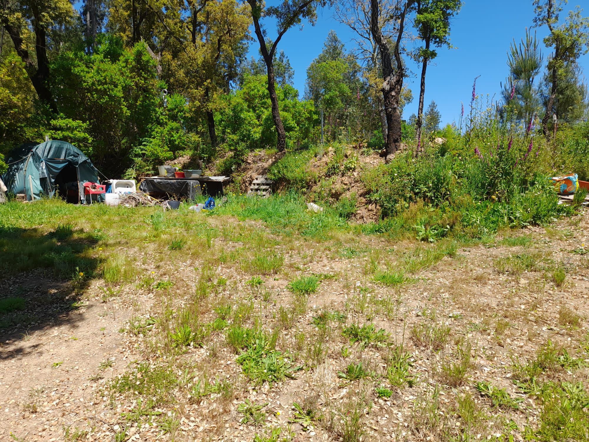 Terreno rustico vedado