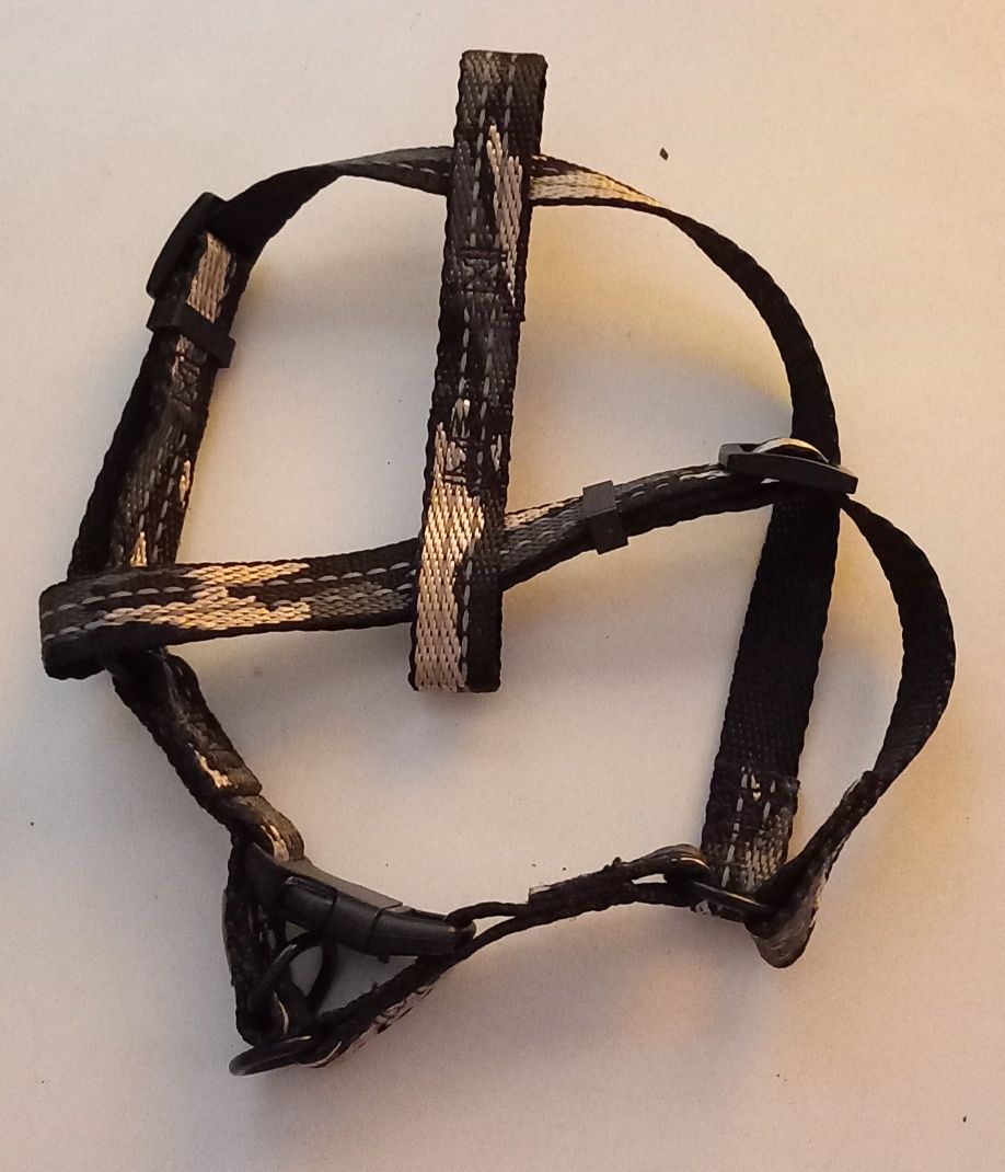 Arnés para cão pequeno 5€