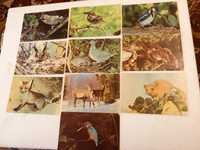Календарики 1989 -1990 г ,птицы ,фауна .природа  5гр шт.