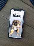 iPhone 12 mini .