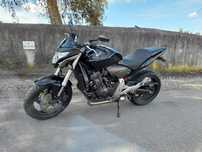 Honda Hornet