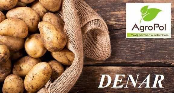 Sadzeniaki Ziemniaka DENAR -Ziemniak Sadzeniak Zamarte Kwalifikat