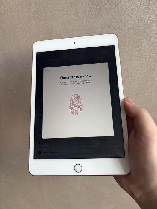 IPad Mini 5 256 Gb Rose Gold