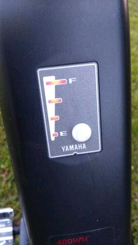 eBike Pedelec Winora Yucatan 8