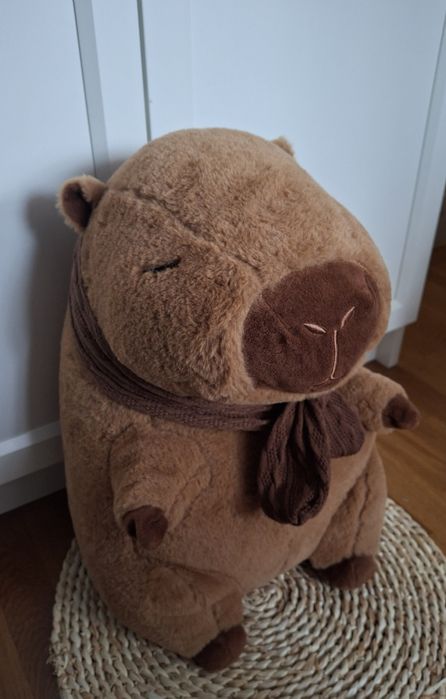 Pluszowa kapibara z kocem