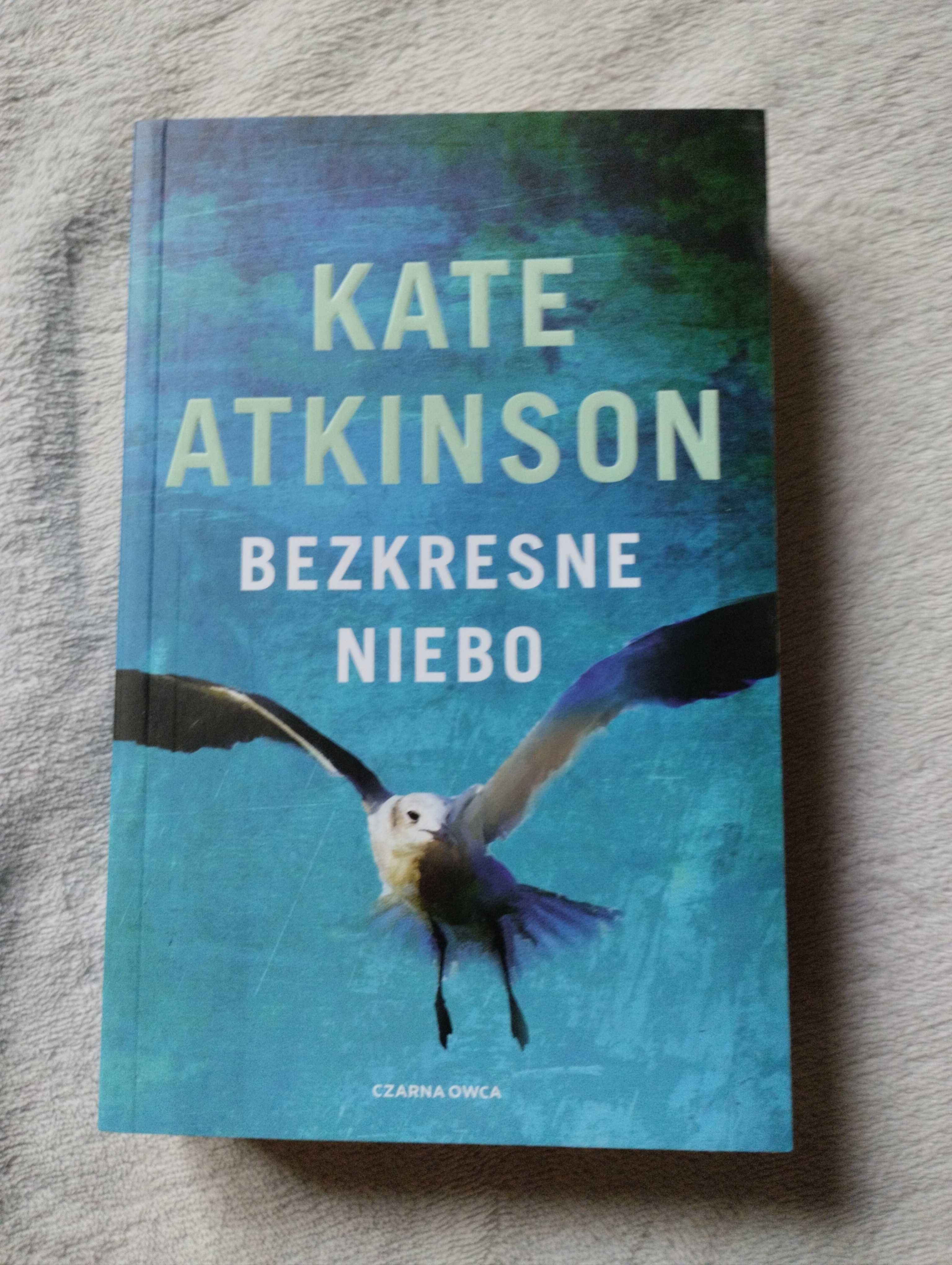 Bezkresne niebo, Kate Atkinson