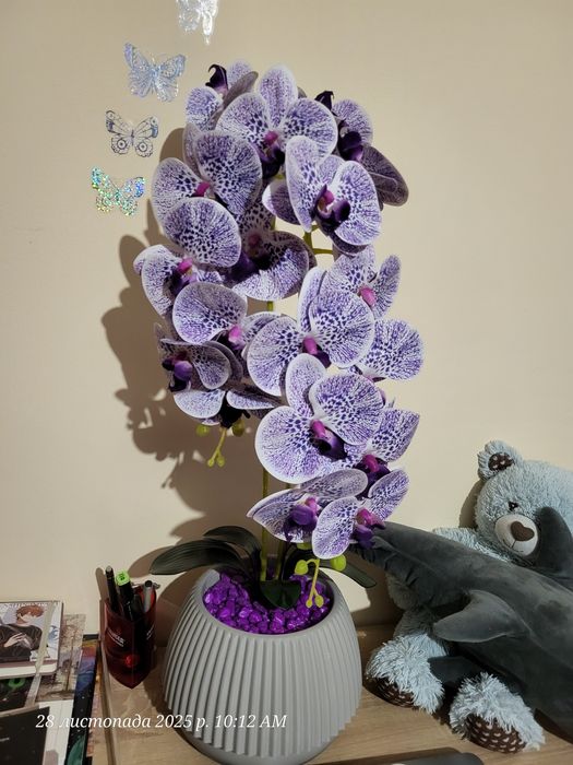 Орхідея латексна  !!!