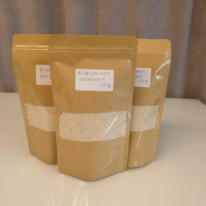 Białoporek brzozowy 200g 4x50g