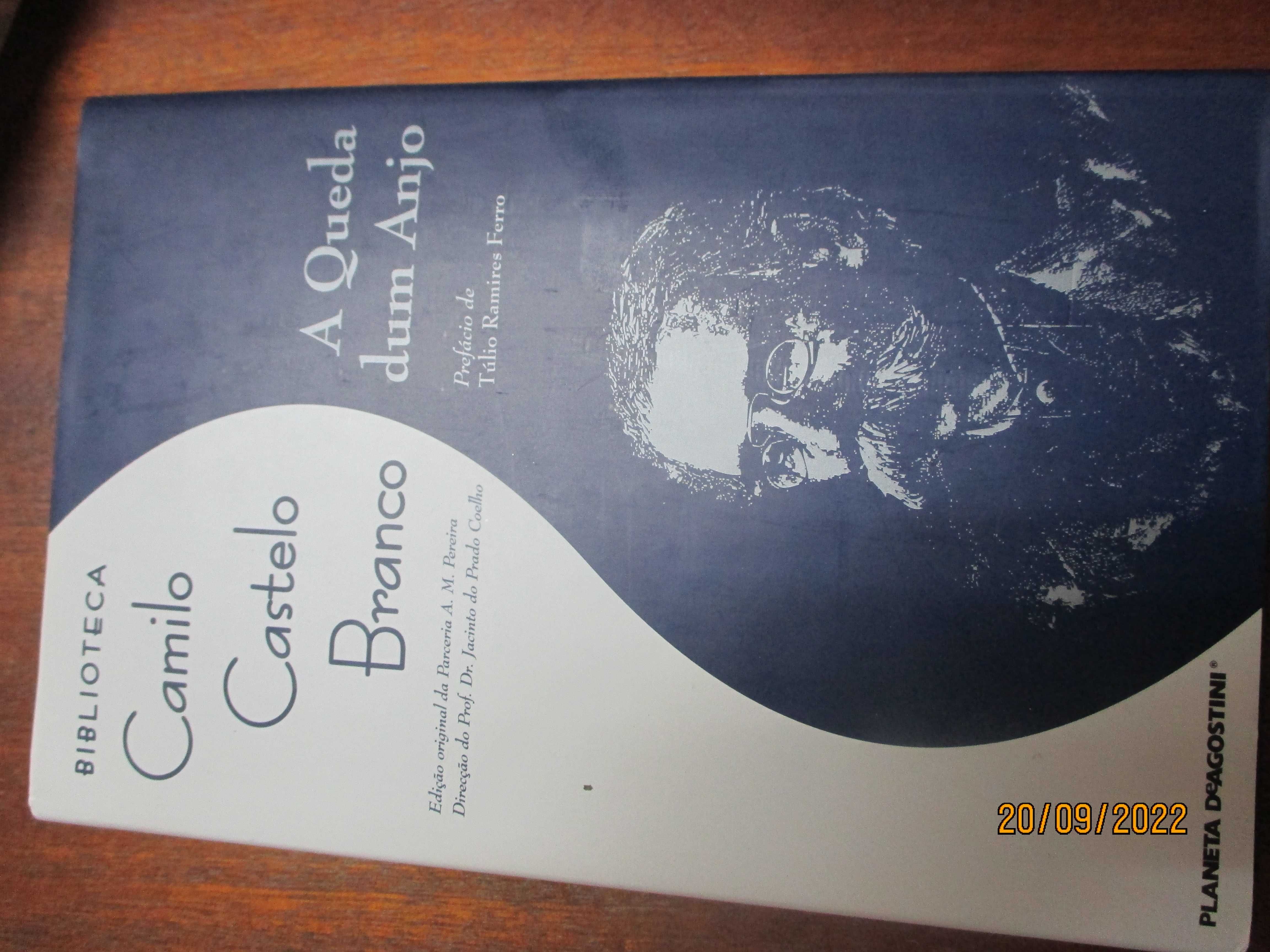 2 livros  - Frei Luís de Sousa e A queda de um anjo